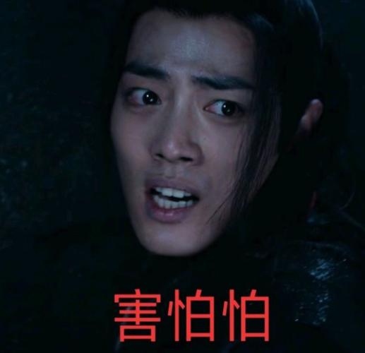 陈情令表情包
