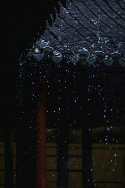 下雨天,随处都是景,怎么拍出意境?