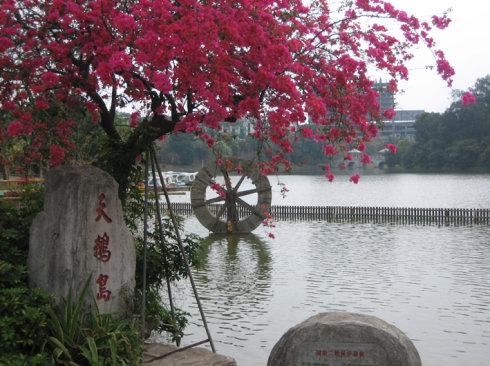【五邑】江门市中心东湖公园