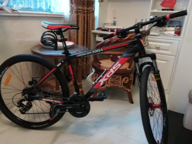 喜德盛(xds) 山地自行车旭日300a休闲代步24速避震前叉26吋铝合金机械