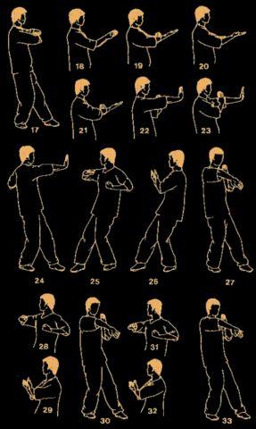 咏春拳图谱 - 物华天宝 - 物华天宝