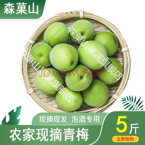 诏安青梅 现摘农家青梅果新鲜生青梅子泡酒酵素鲜果酸梅子5斤散装水果