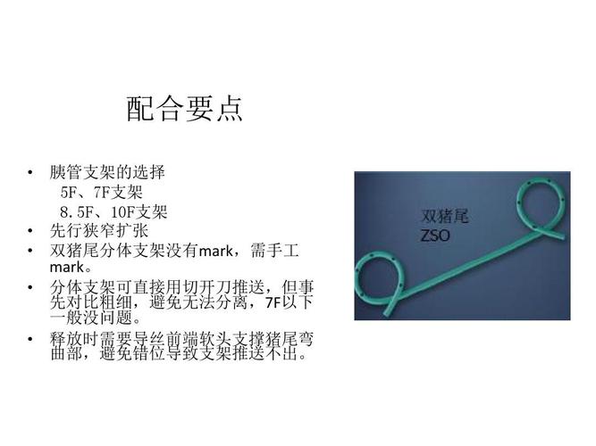 ercp下胆道胰管支架置入ppt
