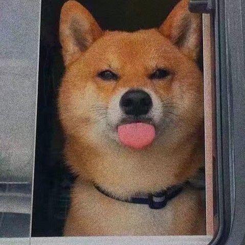 有哪些emo人看了会开心的沙雕文案