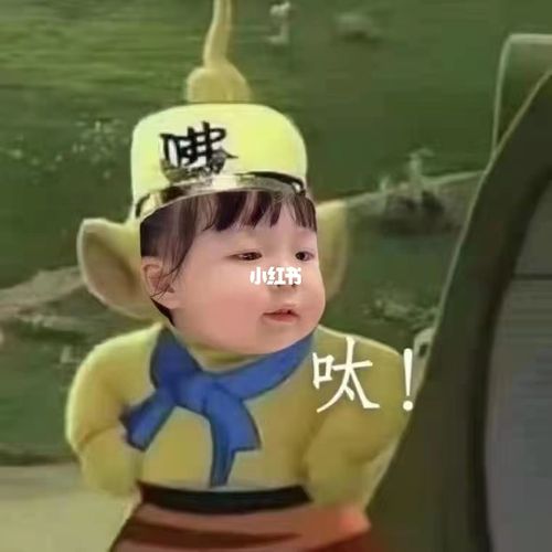 第37期|丸子妹取经表情包_表情包_丸子妹怎么样_表情包分享_素材