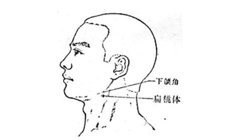 小儿扁桃体外方穴在哪?