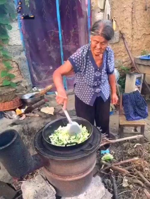 爷爷奶奶生活在农村 自己做饭种地很幸福