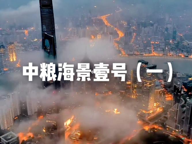 中粮海景壹号|月租8万入住陆家嘴顶级豪宅_公寓_陆家嘴_家居_租房