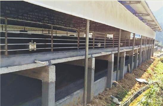 67莲都区给猪盖起省地省水的二层楼发酵床实现零排污