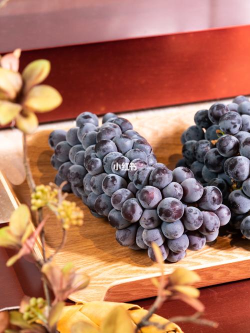 奈雪 霸气葡萄系列升级回归