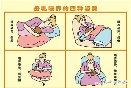 新生儿护理:喂养姿势,奶粉冲调,脐带护理,胎垢清洁,奶量标准 》姿势1