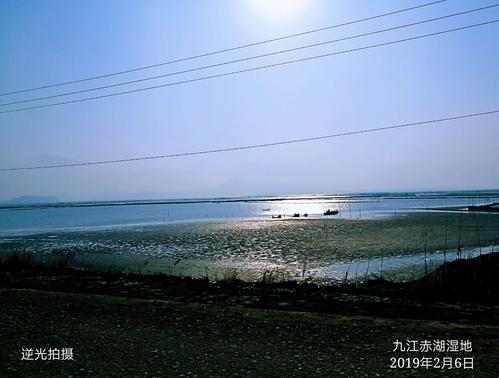 新春赤湖看候鸟