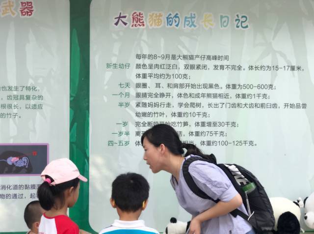 南京大熊猫文化艺术节引爆全国科普日