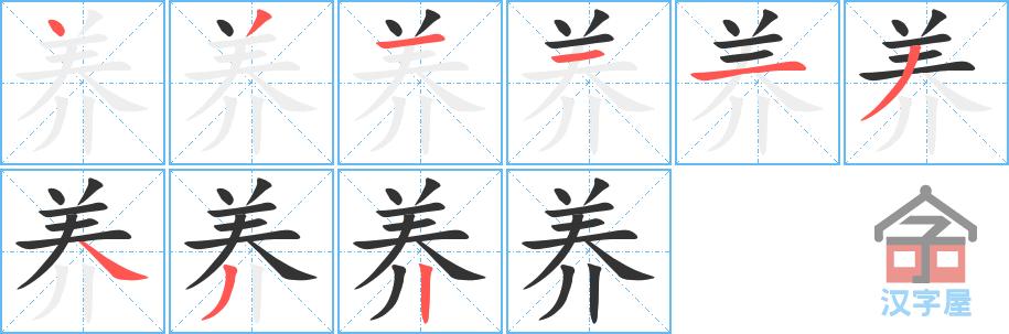 "养"字的笔顺(笔画顺序)