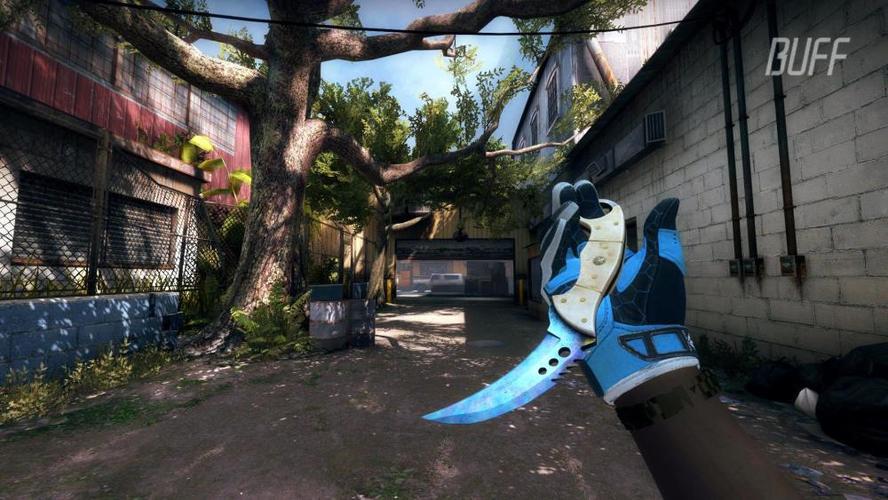 阿伟死了但是没有完全死了csgo之神仙淬火