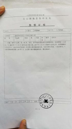 重庆农民工去年在文做工不慎摔成九级伤残,今年再续医