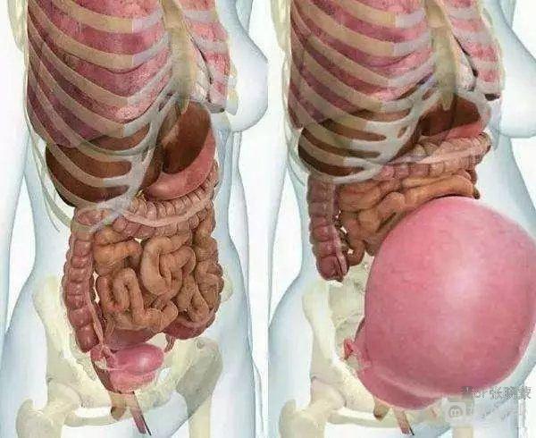 肋骨疼,胆疼,全身疼,是有一定理由的!