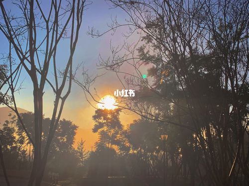 早起的早晨_出行_出行其他