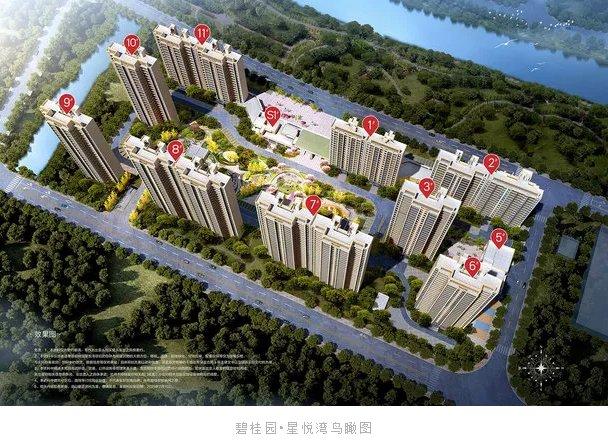 碧桂园星悦湾鸟瞰图