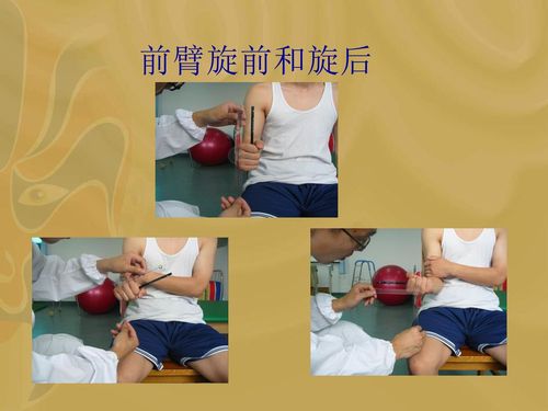 肩关节外展 肩关节内旋和外旋 肘关节屈曲和伸展 前臂旋前和旋后 腕