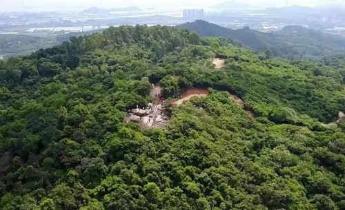 南沙再添一绿肺健体游玩休憩点 - 大山乸森林公园!拟投5000万