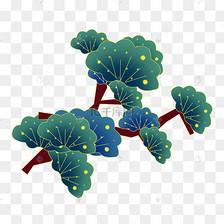 绿色植物传统松树插画