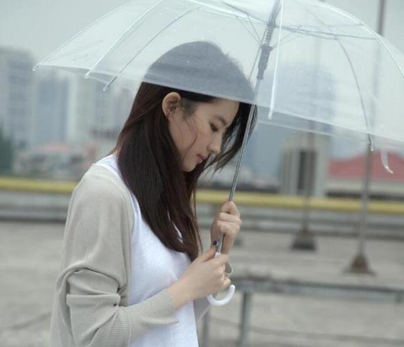 刘亦菲绝美旧照曝光手拿书本撑透明雨伞网友怒赞仙女本仙