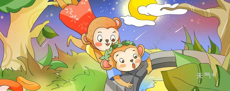 猴子的特点猴子的特点有哪些