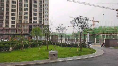 星湖湾(古阎路),古阎路-晋城星湖湾(古阎路)二手房