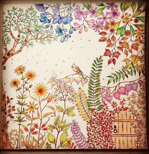 秘密花园_秘密花园_人文_绘画