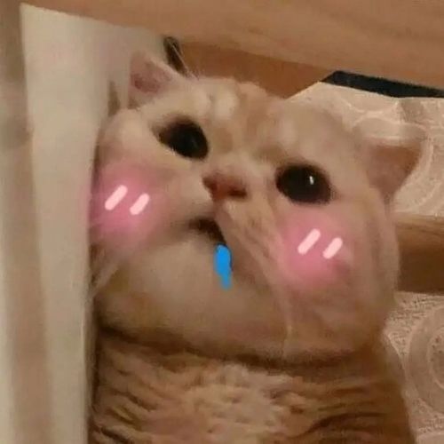 求馋的流口水的表情包!