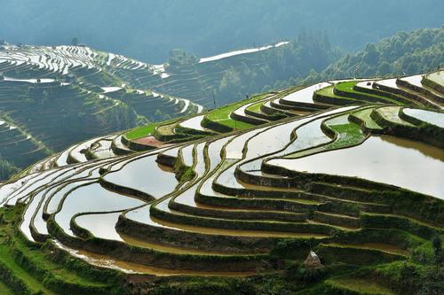贵州从江:加榜梯田立夏节气美不胜收