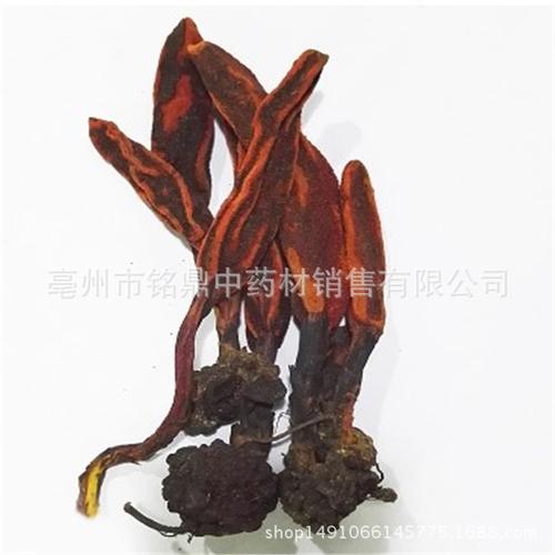 供应 回春草 中药材批发 顶天柱 泡酒料 蟛蜞菊