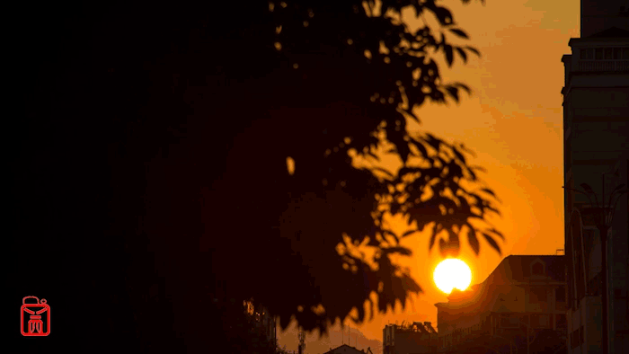 早晨,东边缓缓升起的太阳这么美.