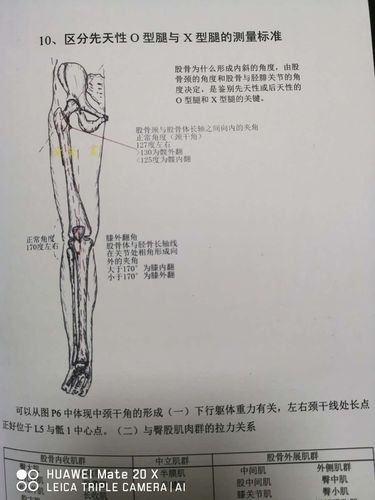 黄声老师主讲《下肢力线与膝关节负重的因果关系》