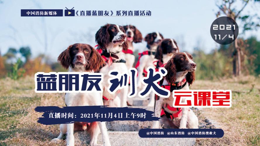 直播蓝朋友##全国消防宣传月##微博直播台