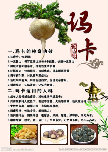 玛卡 玛卡养生药材玛卡简介海报psd下载免费下载 玛卡功效 玛卡的食用