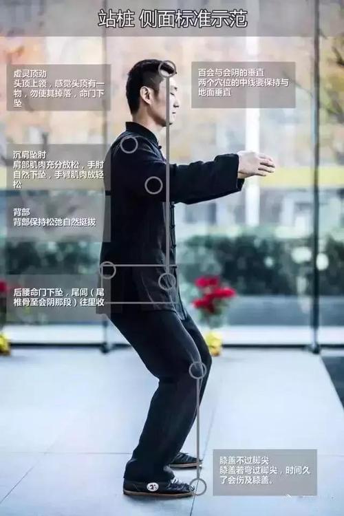 送你两张图站桩图——浑圆桩正,侧面标准示范图 (收藏版)