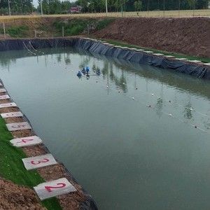 玉皇庙范寨周庄钓鱼塘