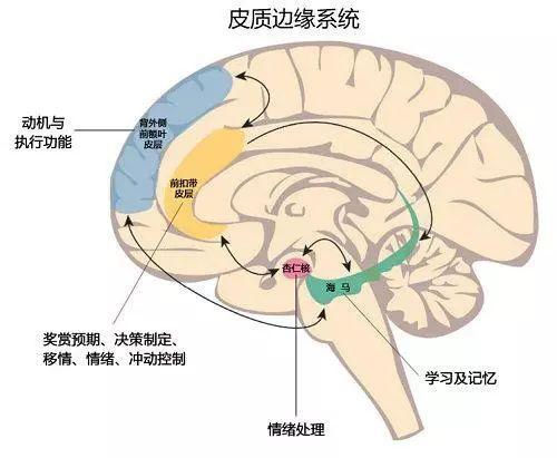 孩子有这样的童年,长大自杀概率提高30倍