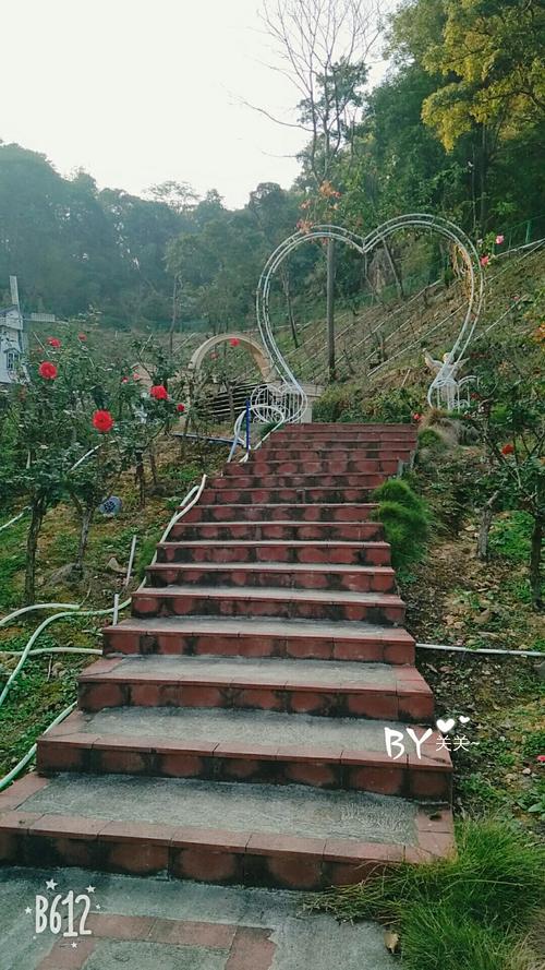 八点十五出发,老公昨晚看的旅游景点,惠州博罗秋枫寨,历经两个半钟