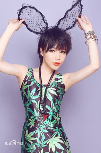 司徒兰芳,中国大陆女歌手,1982年1月15日出生于河北