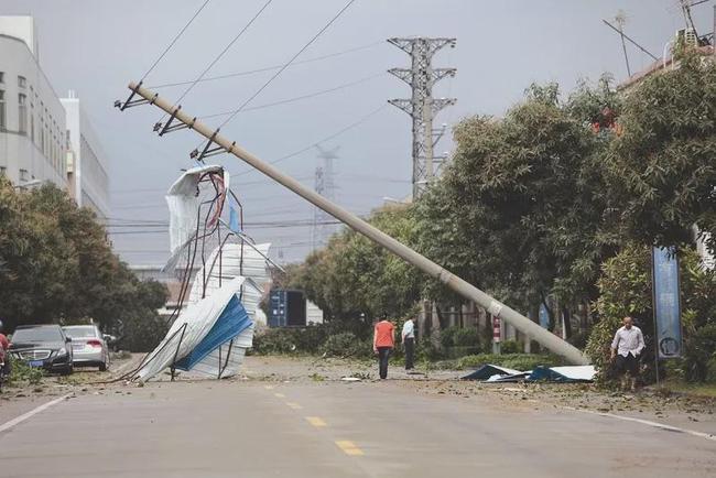 雷击跳闸占输电线路故障的比例最大,电压等级越低,雷击故障的概率越高