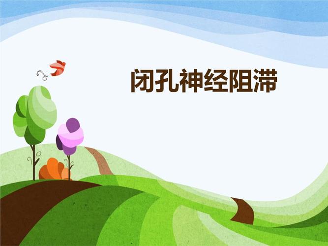 闭孔神经阻滞.pptx 9页