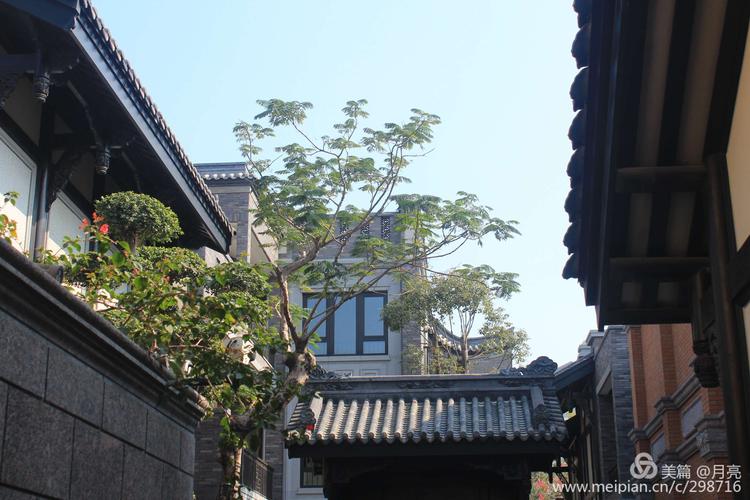 香洲埠一日游2019-1-20