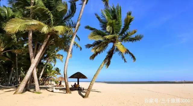 东郊椰林是文昌或者说海南的必游景点之一,"文昌椰子半海南,东郊椰林