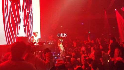 house电音剧场_电音_house电音剧场_喝酒日常_娱乐_音乐_音乐现场/mv