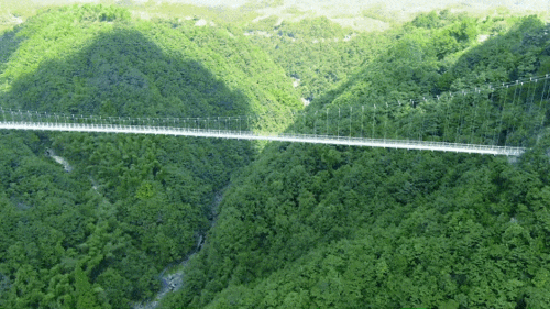 2021温州苍南玉苍山景区 玻璃吊桥!