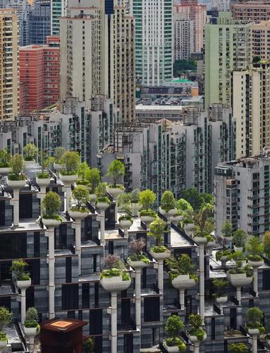 2020年最值得期待的十大建筑——天安千树