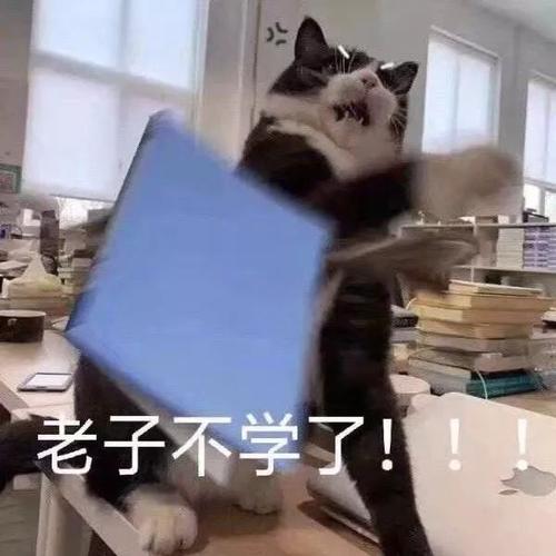 壁纸,表情包,沙雕